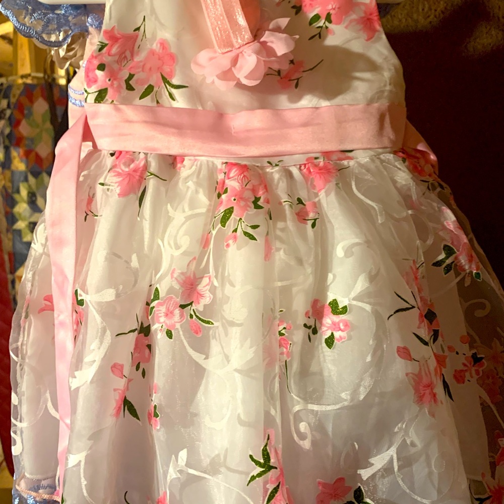 Beautiful flowered dress wore once